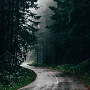 Meet your Posher, Aashika